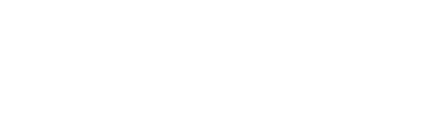 logo playvolt white